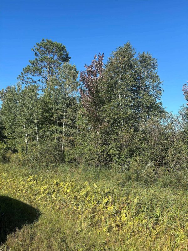 8360 Old 11 Road, Solon Springs WI 54873 - Land house for sale - MLS #1605028 - image3