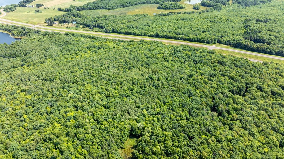 0 US Highway 53, Trego WI 54888 - Land house for sale - MLS #1604071 - image15