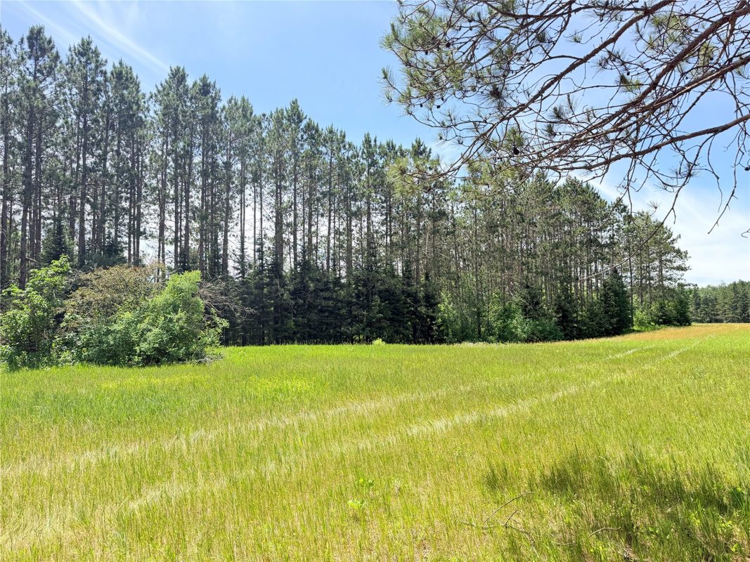 W11097 Boat Landing Road, Ladysmith WI 54848 - Land house for sale - MLS #1605411 - image5