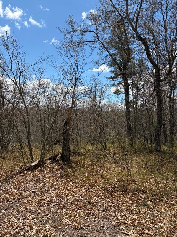 Lot 2 Sleepy Eye Road, Minong WI 54859 - Land house for sale - MLS #1602148 - image6