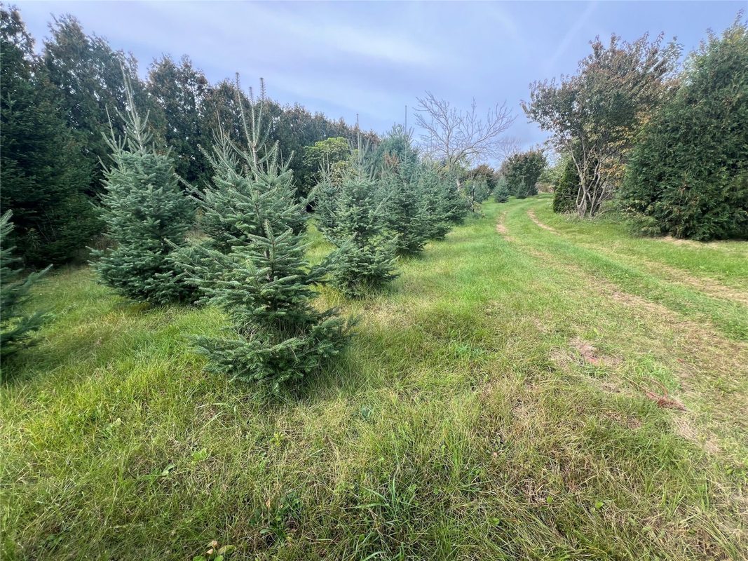 13941 98th Avenue, Chippewa Falls WI 54729 - CommercialSale house for sale - MLS #1605443 - image40