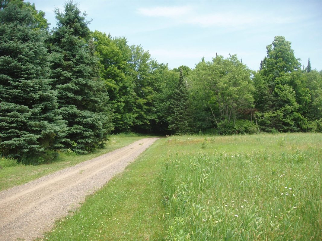 2460N County Highway FF, Butternut WI 54514 - Residential house for sale - MLS #1602950 - image25