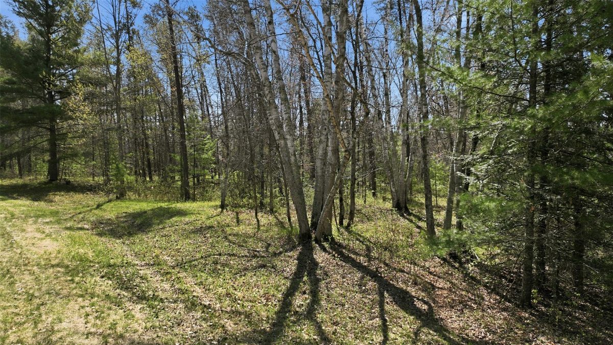 Lots 5 & 6 State Highway 70, Spooner WI 54801 - Land house for sale - MLS #1604806 - image8