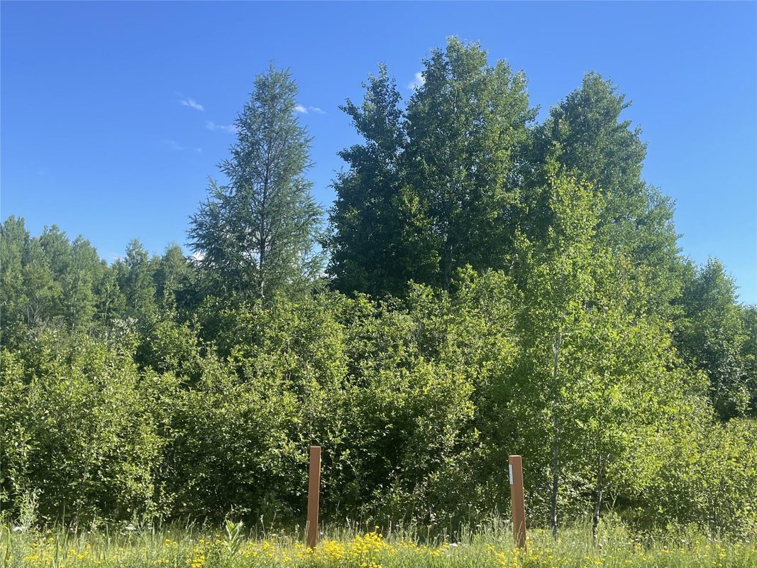 39+/- A on County Highway E, Iron Belt WI 54536 - Land house for sale - MLS #1602959 - image2