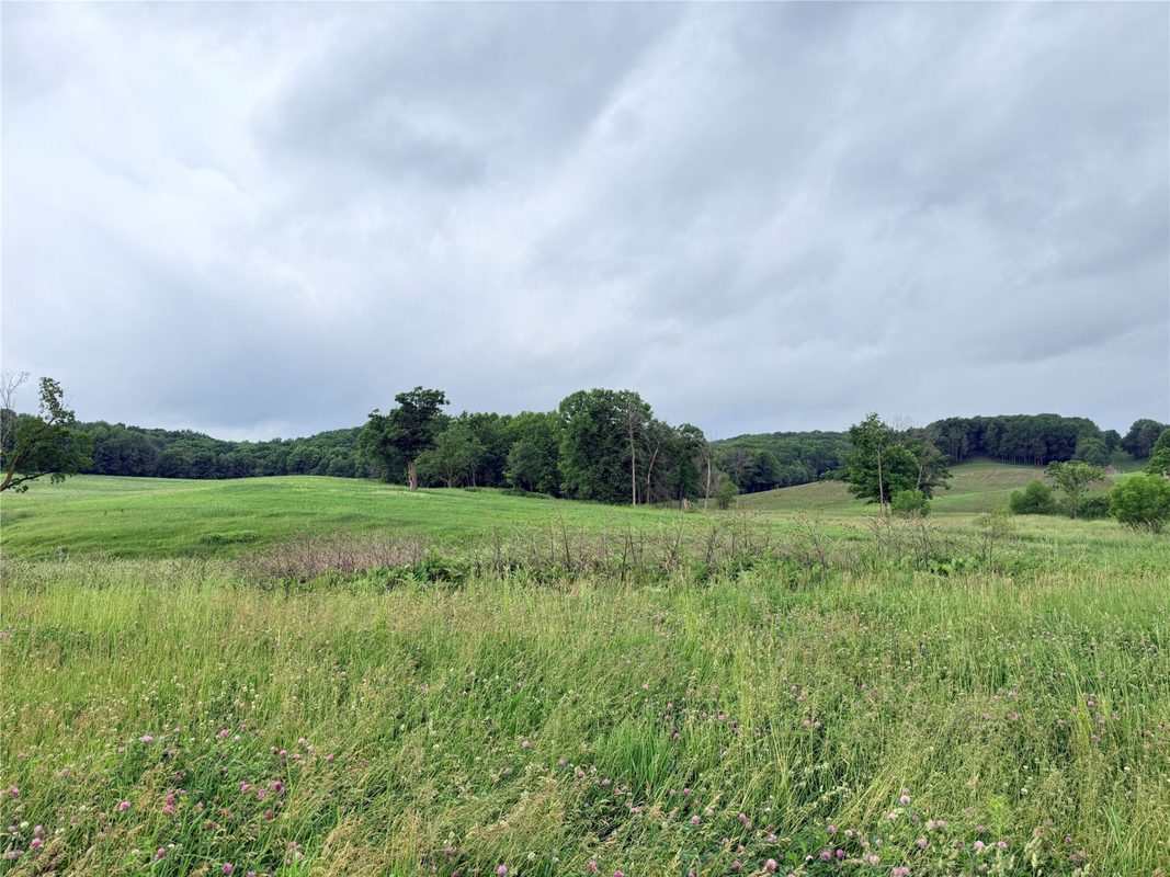 0 Grandview Drive, Fall Creek WI 54727 - Land house for sale - MLS #1603307 - image6
