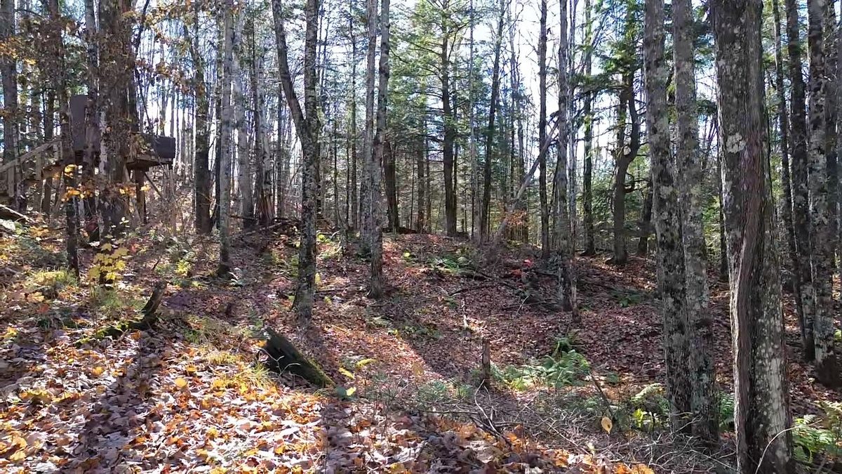 4800 43 Road, Solon Springs WI 54783 - Land house for sale - MLS #1606105 - image8