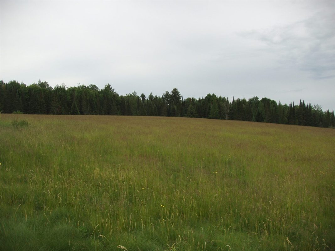 N16798 Bass Lake Road, Butternut WI 54514 - Residential house for sale - MLS #1603059 - image36