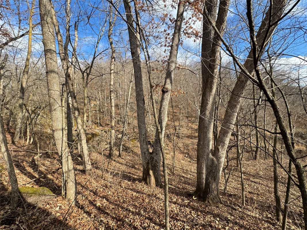 W1310 Earney Road, Alma WI 54610 - Residential house for sale - MLS #1604945 - image30