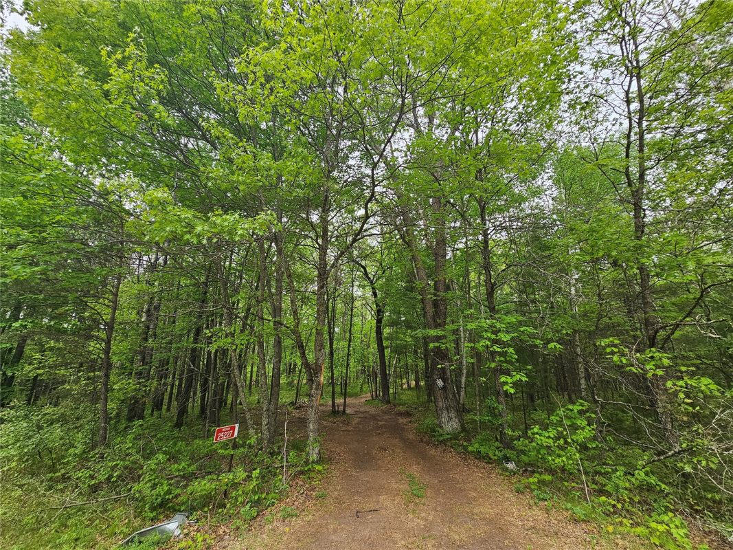 25227 Kruger Road, Webster WI 54893 - Land house for sale - MLS #1601553 - image3