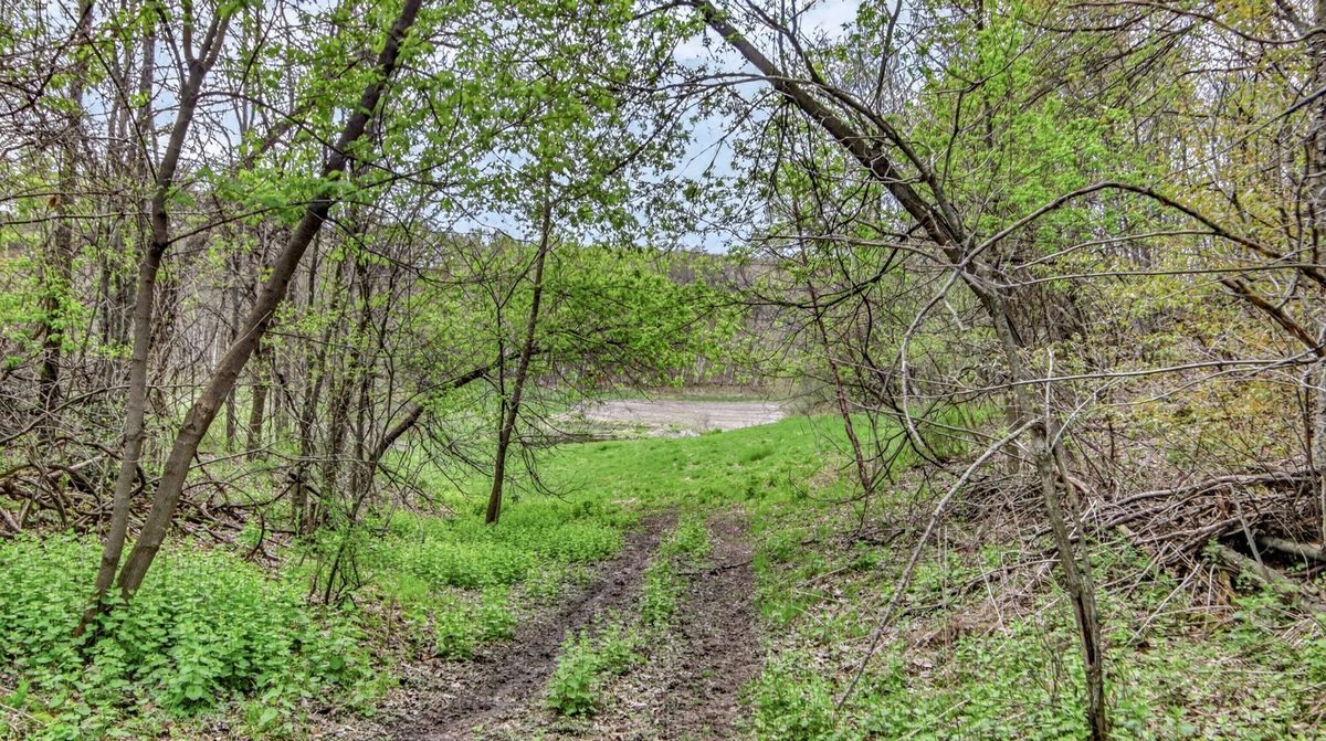 N9370 County Road P, Blair WI 54616 - Residential house for sale - MLS #1600694 - image44