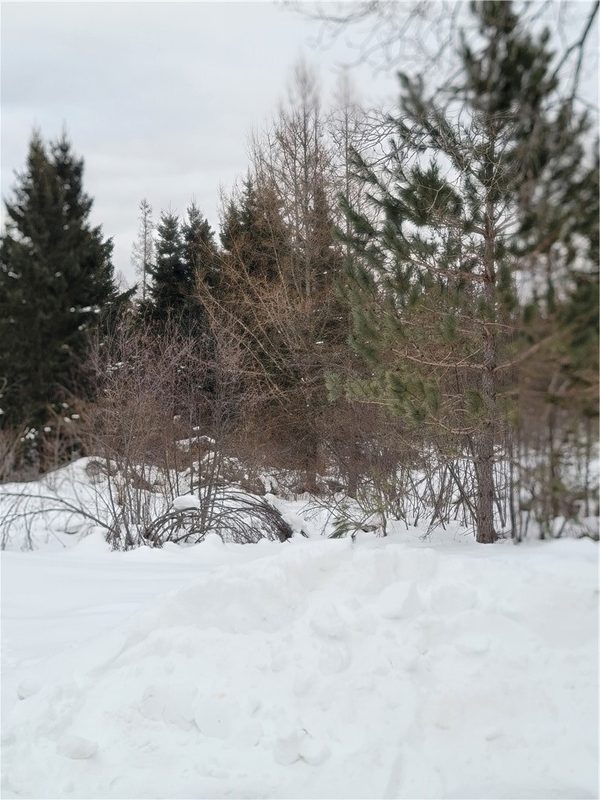 6828N Zett Road, Winter, WI — photo 7