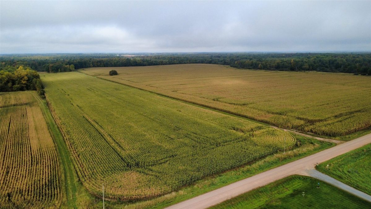 000 Miller Avenue, Owen WI 54460 - Land house for sale - MLS #1605509 - image5