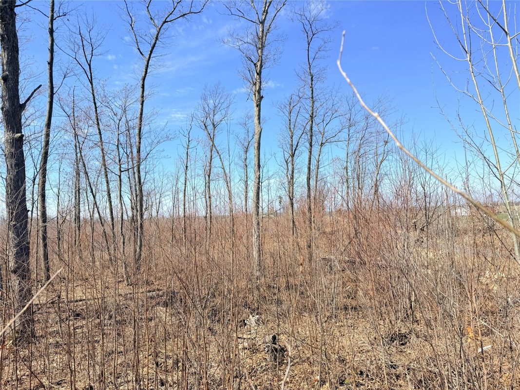 Lot 4 160th Avenue, Turtle Lake, WI — photo 24