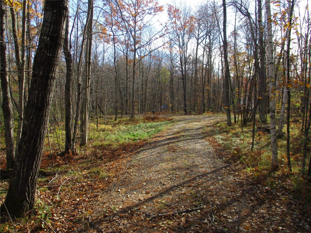 LOT #25 Lakeshore Drive & 28 1/8 Street, Birchwood WI 54817 - Land house for sale - MLS #1605905 - image2