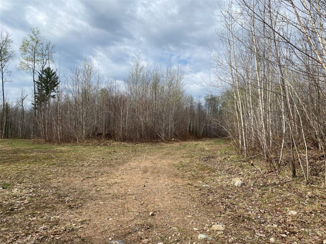 Near Wilson Lake Road Phillips WI 54555 — photo 5