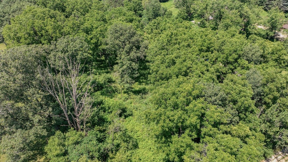 00 Garves Coulee Road, Bangor WI 54614 - Land house for sale - MLS #1603270 - image18