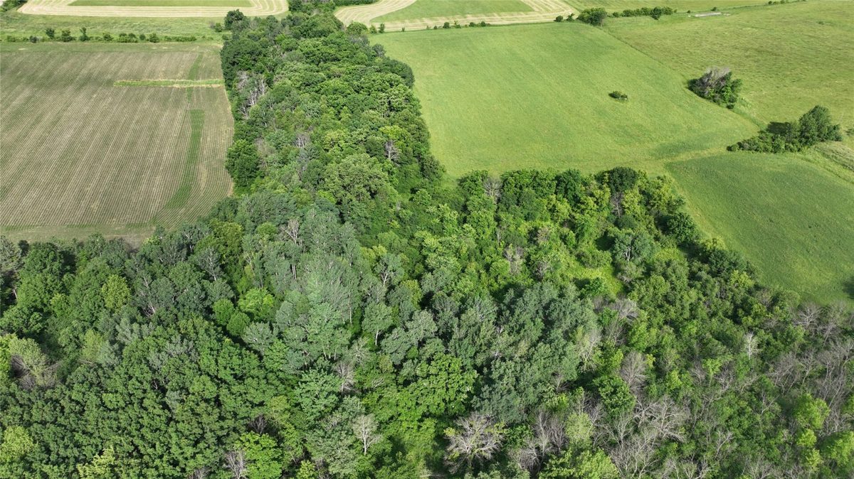 XX County Road BB, Baldwin WI 54002 - Land house for sale - MLS #1602567 - image20