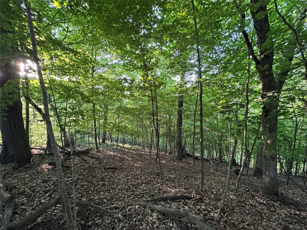 15.01 Acres 160th Avenue, Maiden Rock WI 54750 - Land house for sale - MLS #1604580 - image22