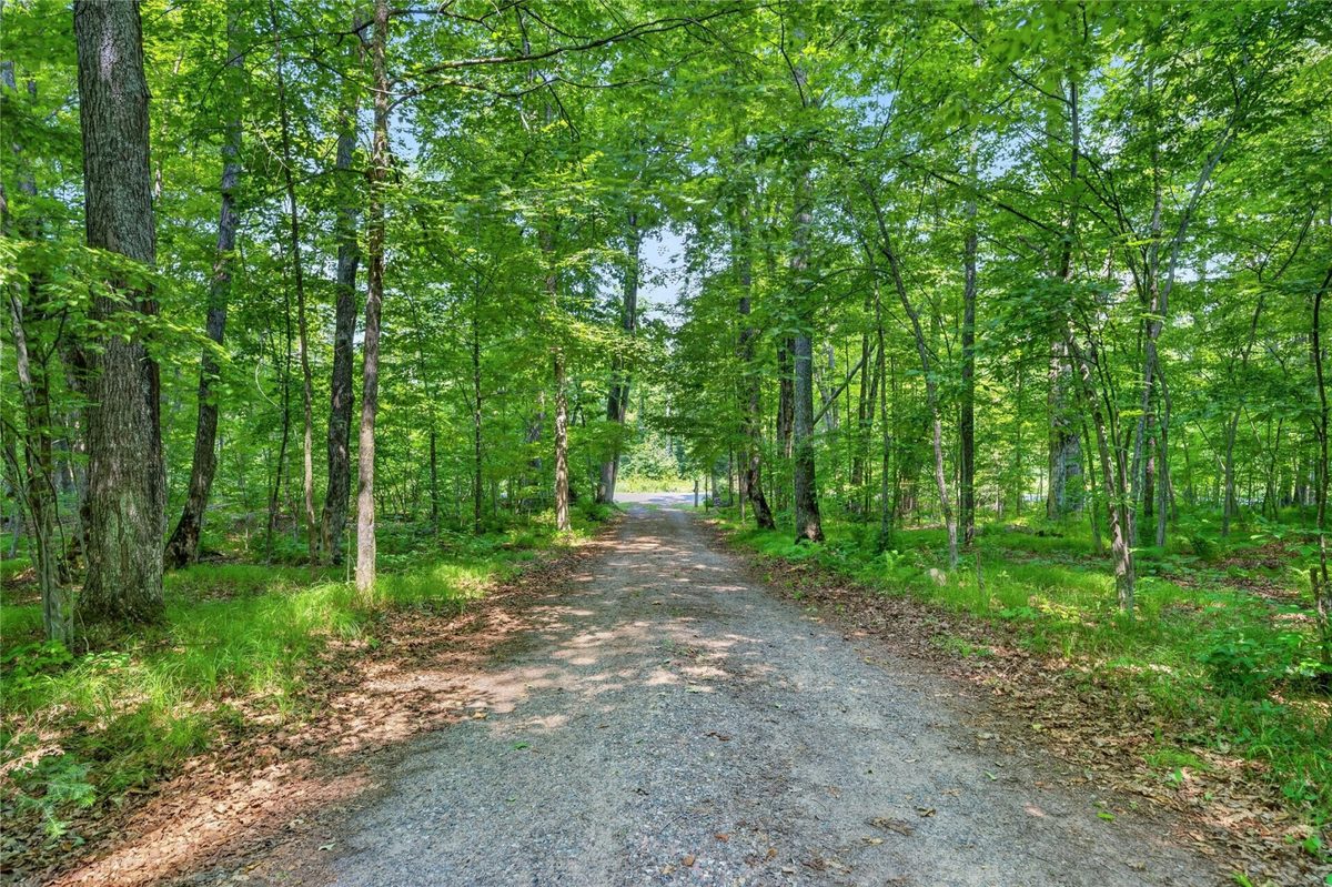 6925W Hemlock Haven Road, Winter WI 54896 - Land house for sale - MLS #1603697 - image13