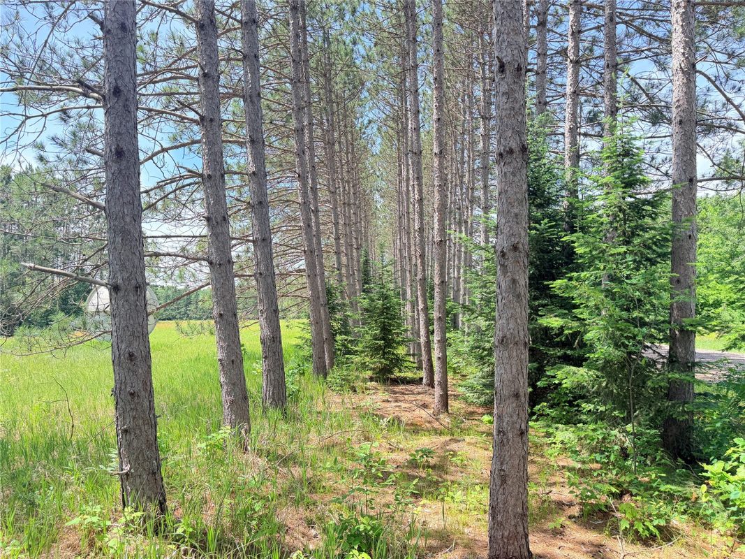 W11097 Boat Landing Road, Ladysmith WI 54848 - Land house for sale - MLS #1605411 - image18