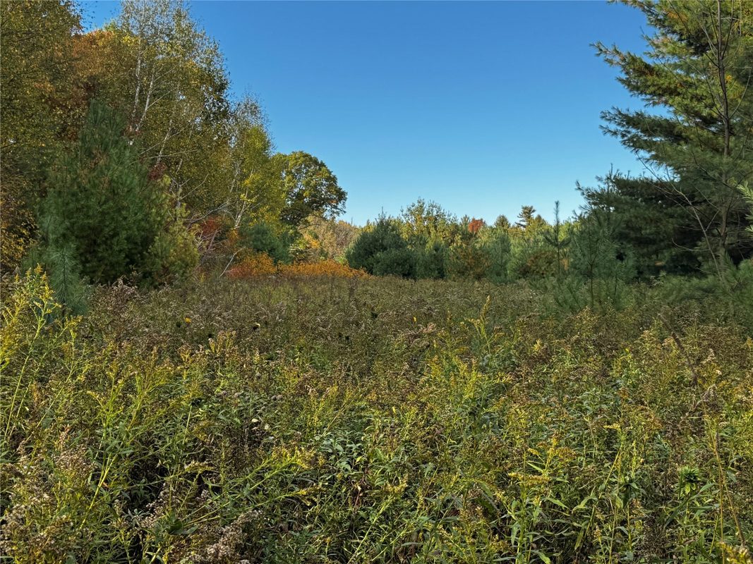 3461 56th, Frederic WI 54837 - Land house for sale - MLS #1605729 - image25