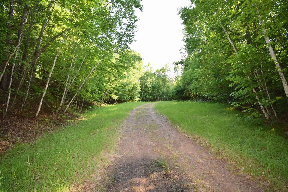 7230 County Road U, Danbury WI 54830 - Land house for sale - MLS #1602895 - image27