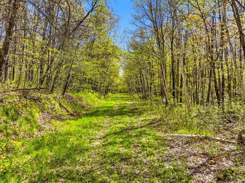 W6474 River Road