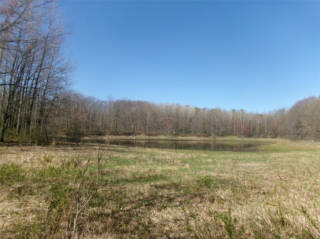 Tax ID 35410 Moody Lake Road, Sarona WI 54870 - Land house for sale - MLS #1601029 - image8