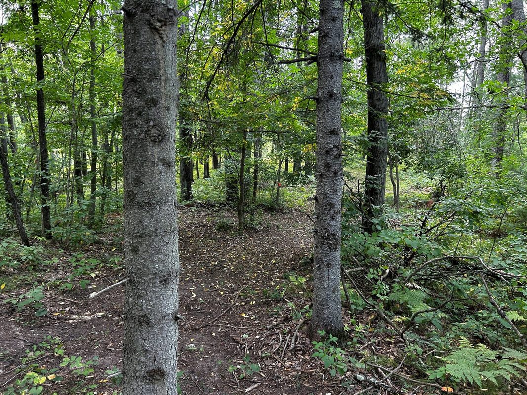 Lots 5 & 6 State Highway 70, Spooner WI 54801 - Land house for sale - MLS #1604806 - image26