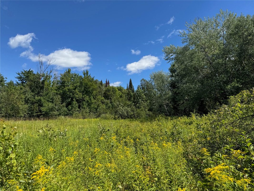 8143 Wright Road, Winter WI 54896 - Land house for sale - MLS #1594262 - image32