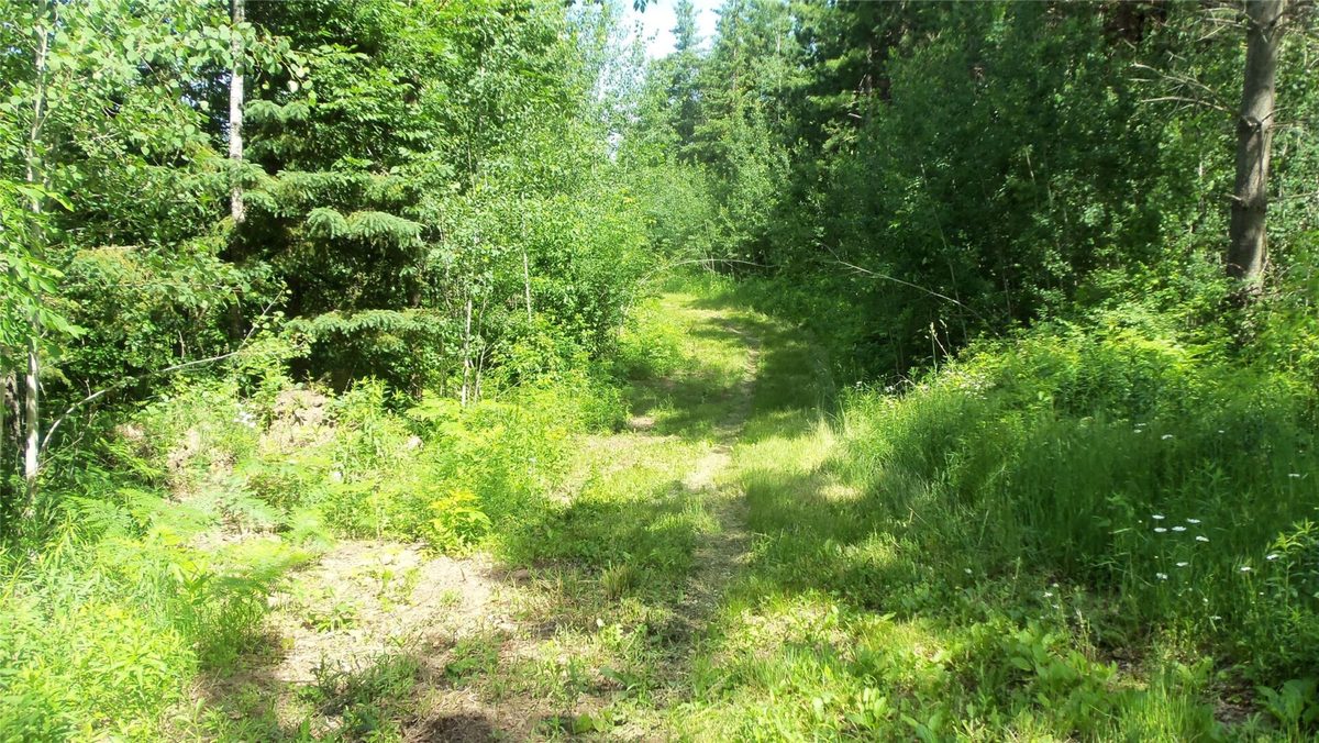 XXX Bashaw Store Road, Shell Lake WI 54871 - Land house for sale - MLS #1603494 - image4