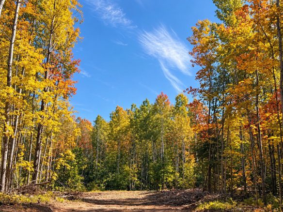 Parcel 4 County Road A, Solon Springs WI 54873 - Land house for sale - MLS #1604811 - image1