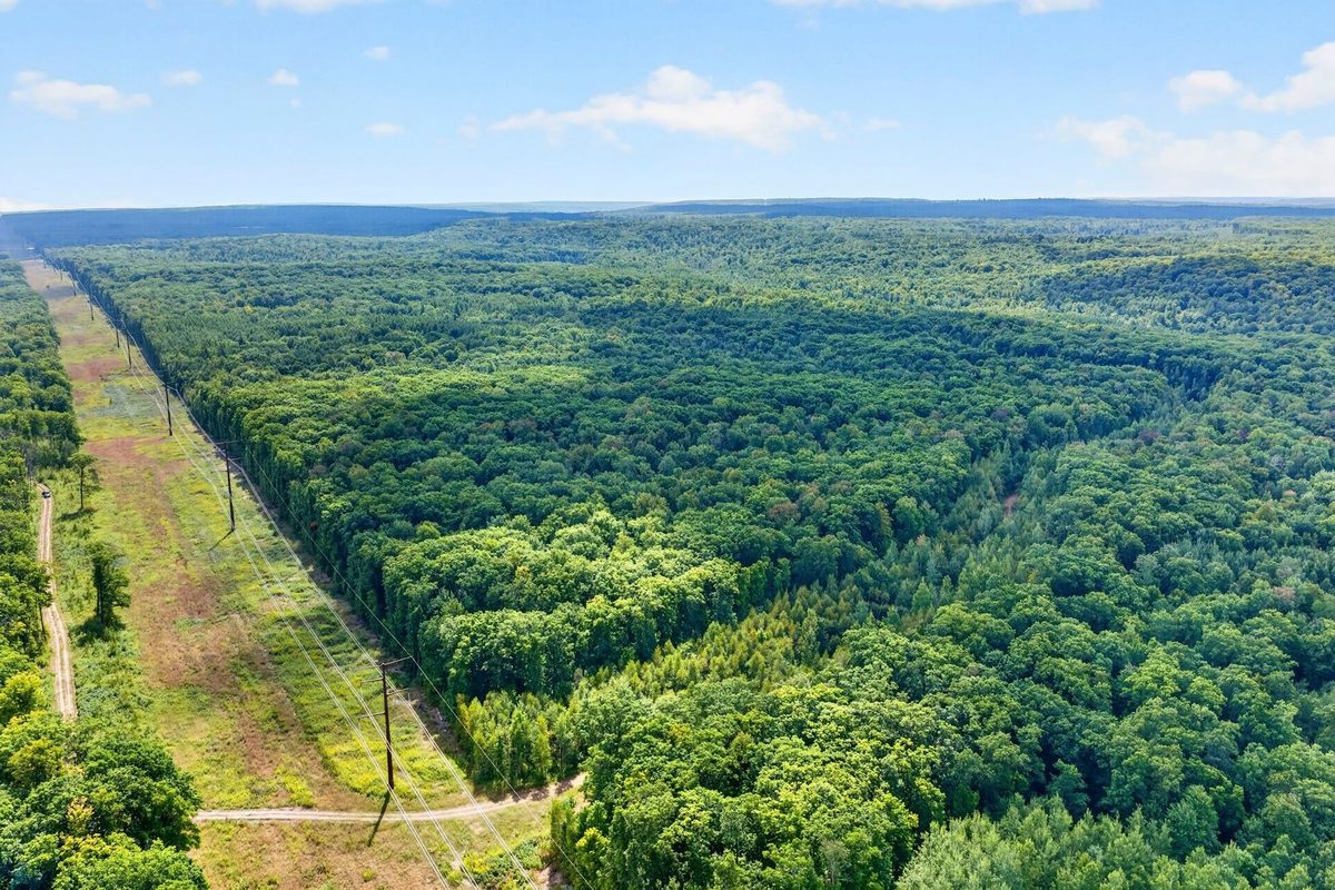Block 2 Comet Road, Exeland WI 54835 - Land house for sale - MLS #1597542 - image15