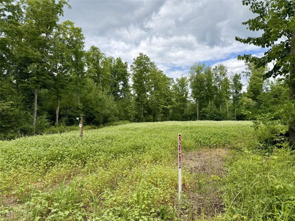 25478 185th Avenue, Cornell WI 54732 - Land house for sale - MLS #1603555 - image1