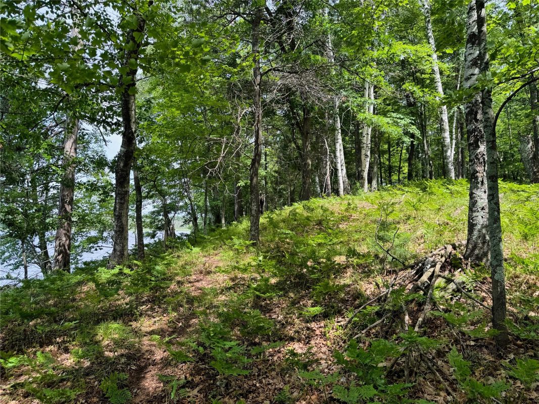 11149 Merganser Lane, Hayward WI 54843 - Land house for sale - MLS #1604672 - image20