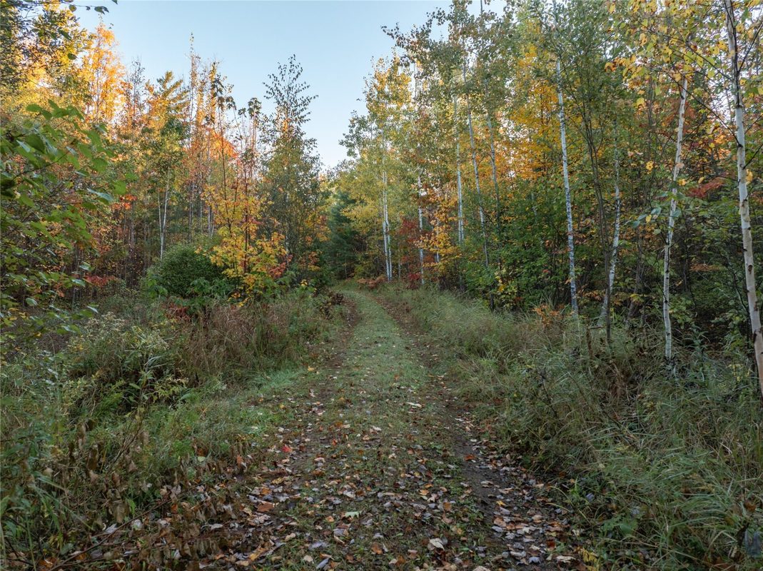 000 Winter Road, Elcho WI 54424 - Land house for sale - MLS #1605846 - image34