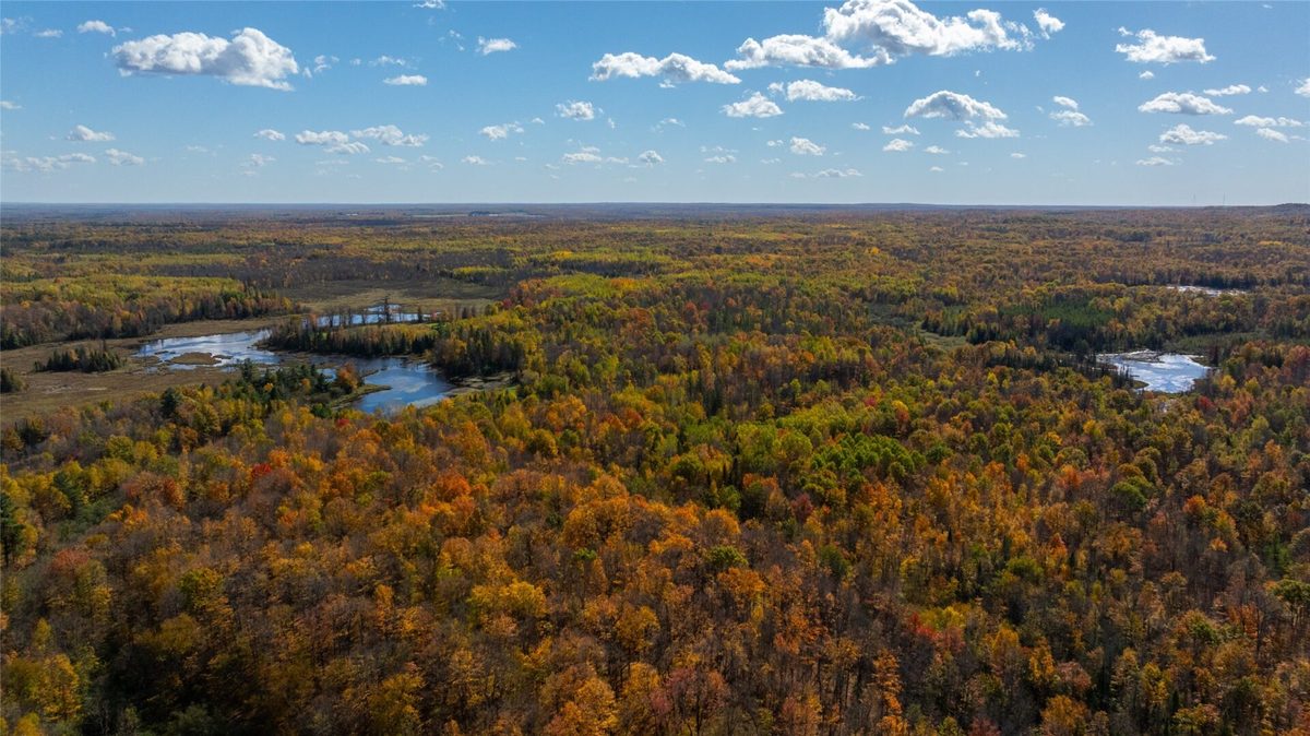 W2621 Goetzke Rd, Prentice WI 54556 - Land house for sale - MLS #1605822 - image6