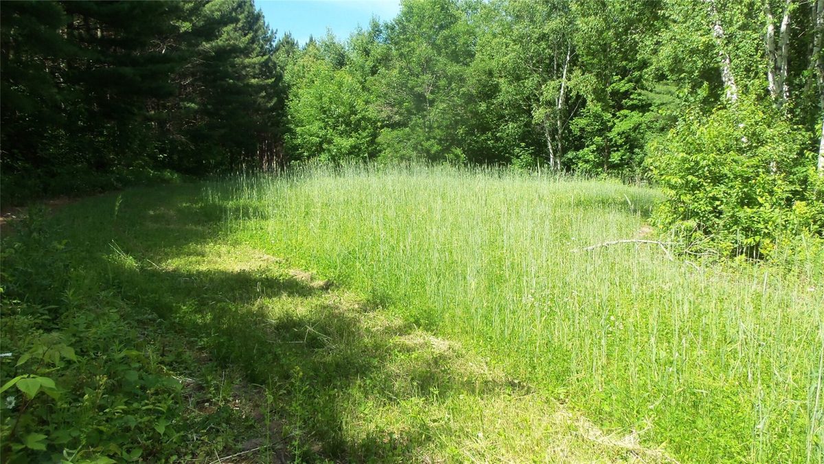 XXX Bashaw Store Road, Shell Lake WI 54871 - Land house for sale - MLS #1603494 - image30