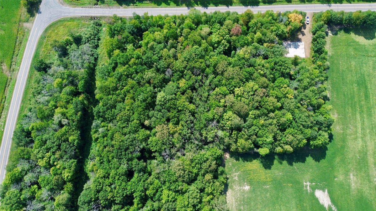 W16860 Cty Rd D, Sheldon WI 54766 - Land house for sale - MLS #1604631 - image18