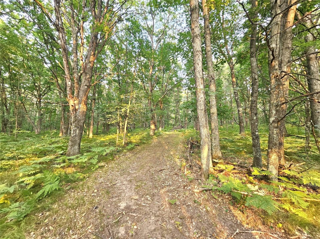 N8356 Lincoln Lake Road, Trego WI 54888 - Land house for sale - MLS #1604319 - image12