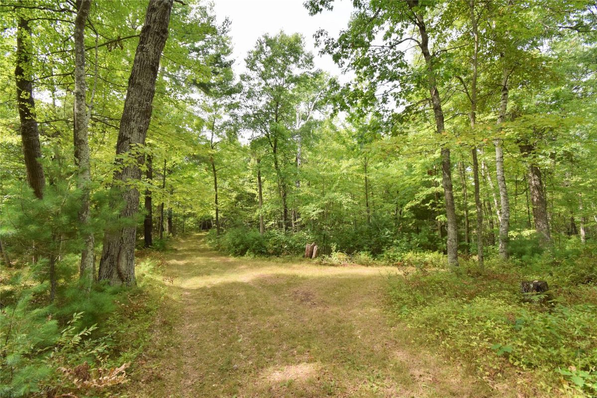 28206 Pardun Road, Danbury WI 54830 - Land house for sale - MLS #1604938 - image29