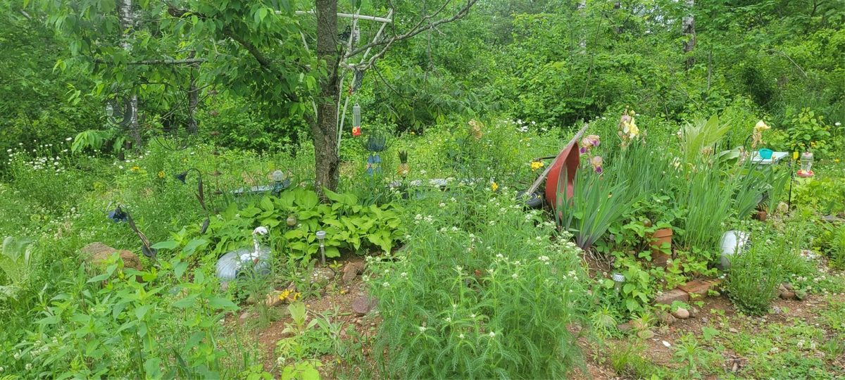 11116 Blackberry Road, Trego WI 54888 - Land house for sale - MLS #1601881 - image14