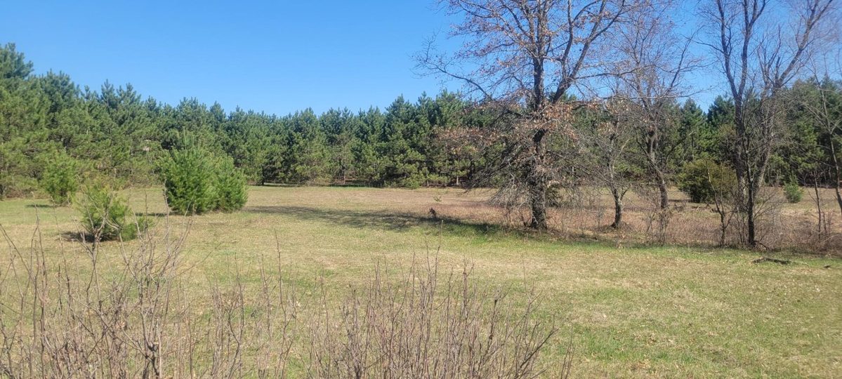 W14103 County P Highway, Taylor WI 54659 - Land house for sale - MLS #1600415 - image4