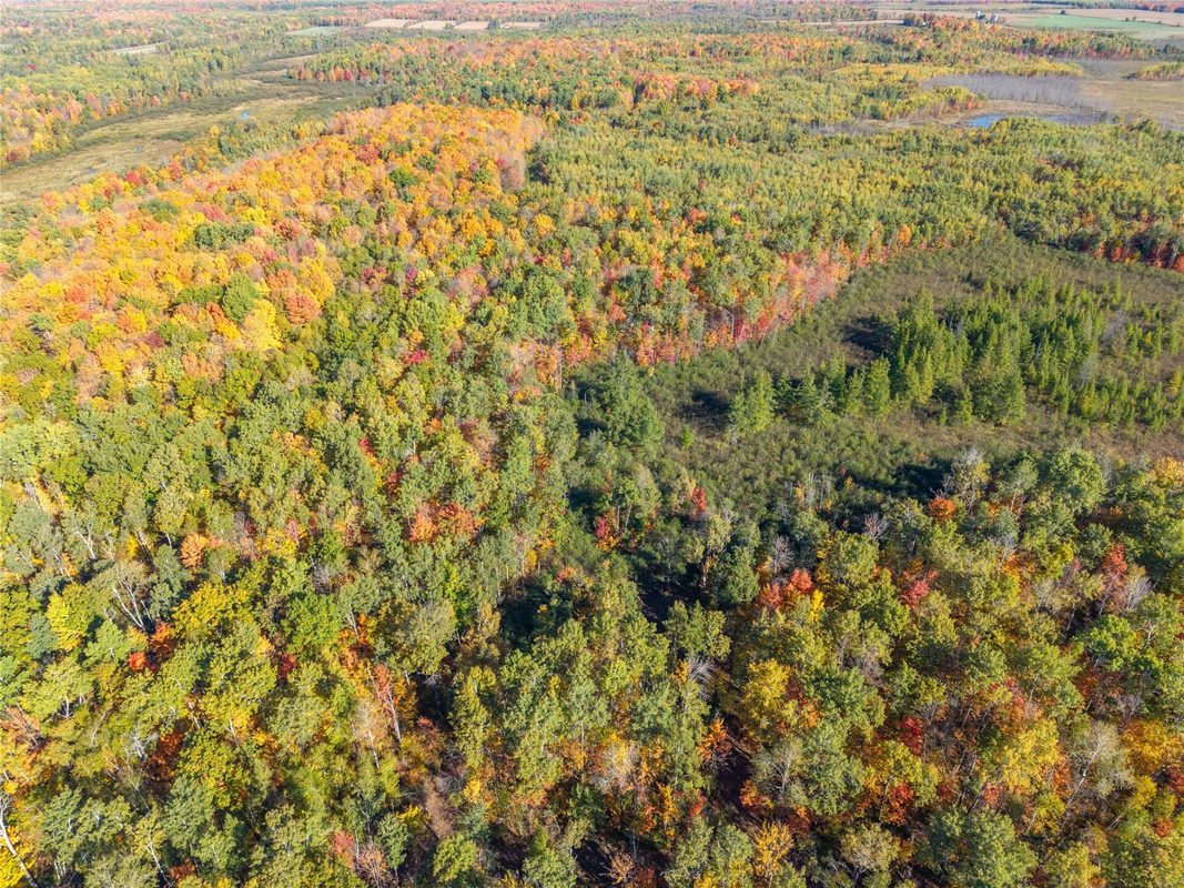 5 Acres Aggie Lane, Ladysmith WI 54848 - Land house for sale - MLS #1605699 - image12