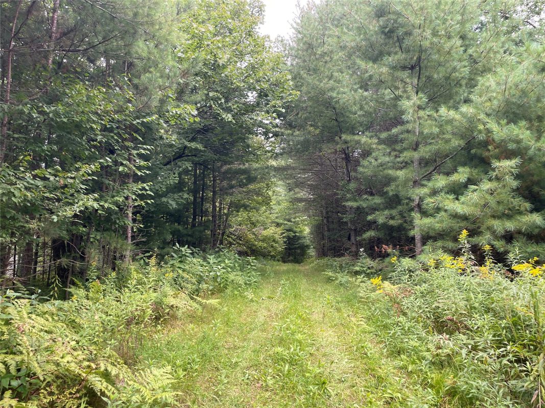 Lot 4 Hermosa Lane, Hayward, WI — photo 5