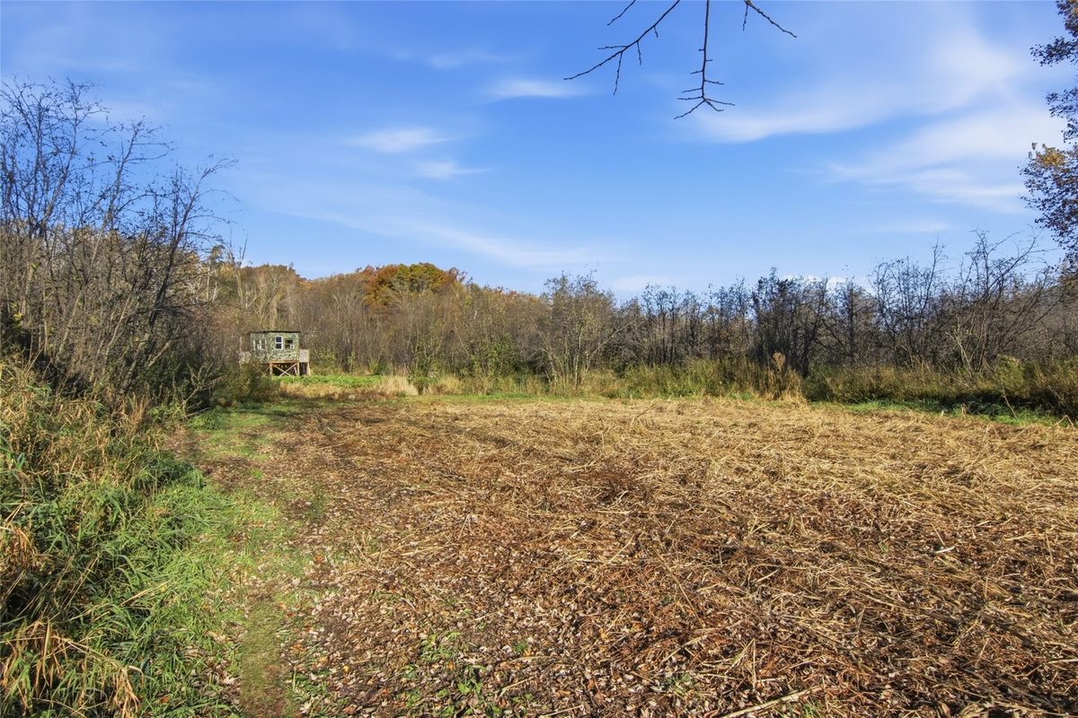E1995 950th Avenue, Boyceville WI 54725 - Land house for sale - MLS #1606129 - image52