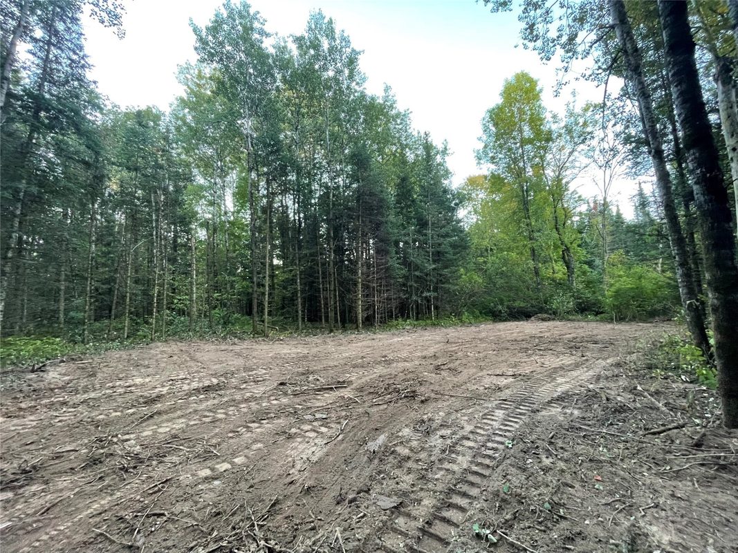 Lot 3 Fadness Road, Winter WI 54896 - Land house for sale - MLS #1605263 - image8