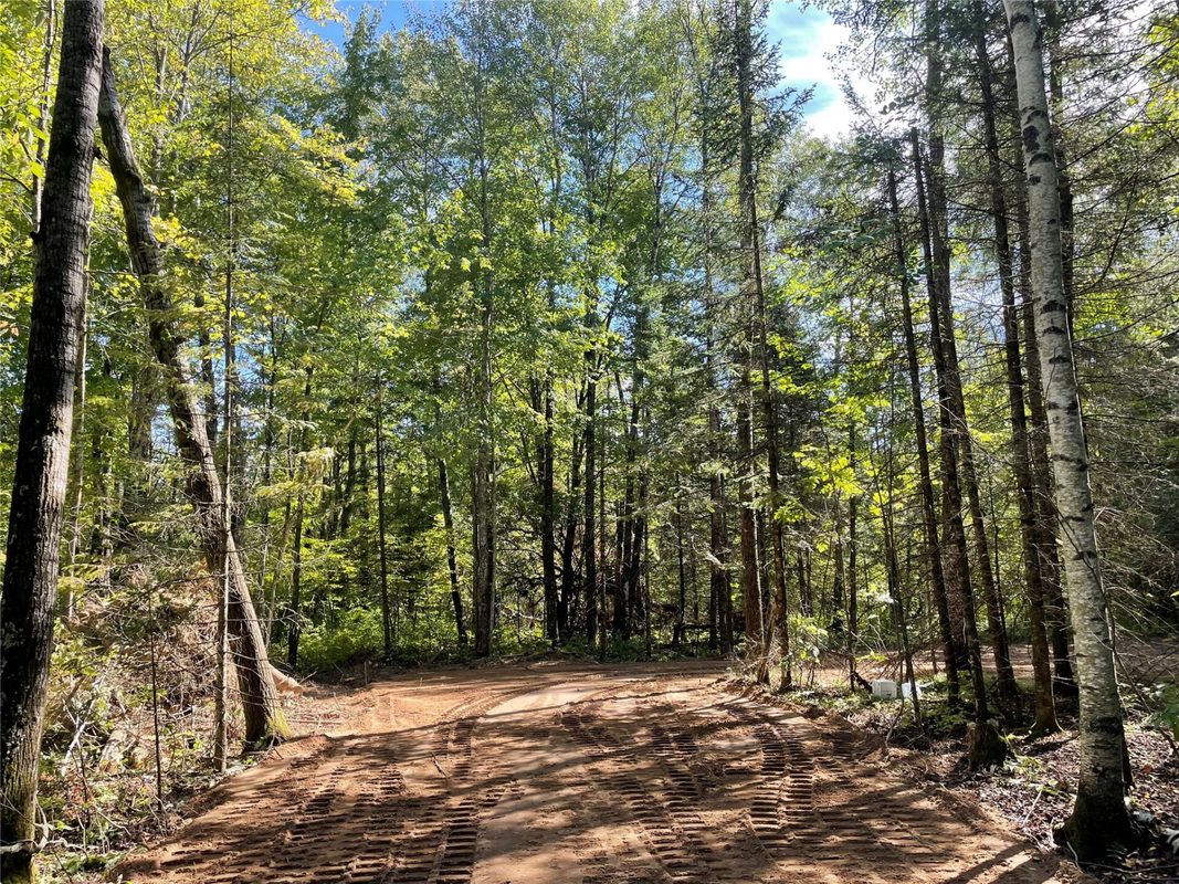 Lot 2 Fadness Road, Winter WI 54896 - Land house for sale - MLS #1605242 - image9