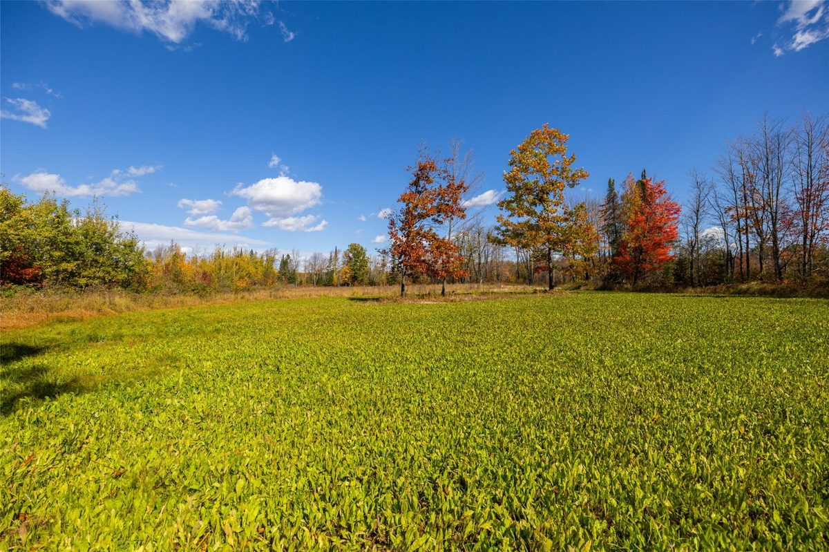 W2621 Goetzke Rd, Prentice WI 54556 - Land house for sale - MLS #1605822 - image39