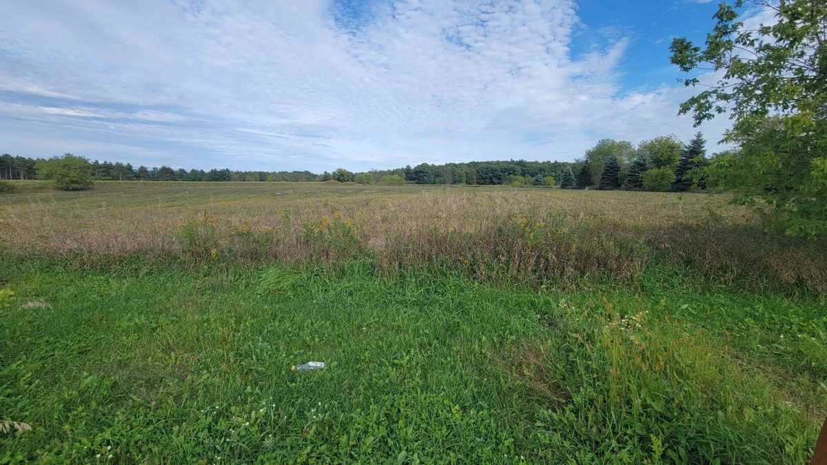 3585 Highway 49, Rosholt WI 54473 - Residential house for sale - MLS #1605185 - image24